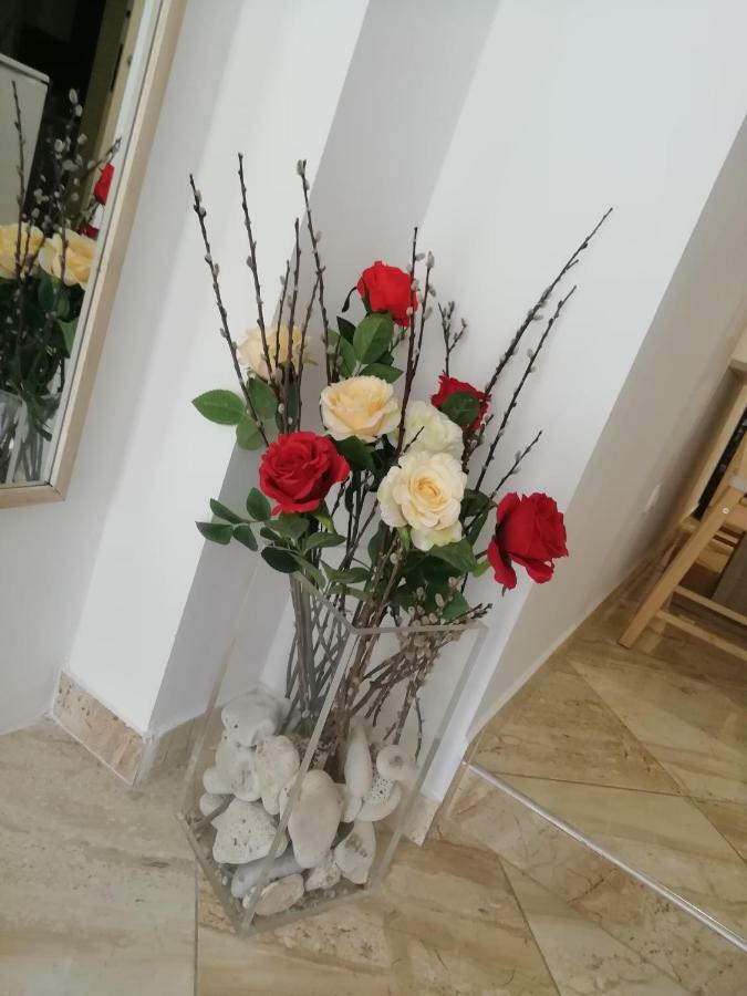 Studio Rose 普拉 外观 照片